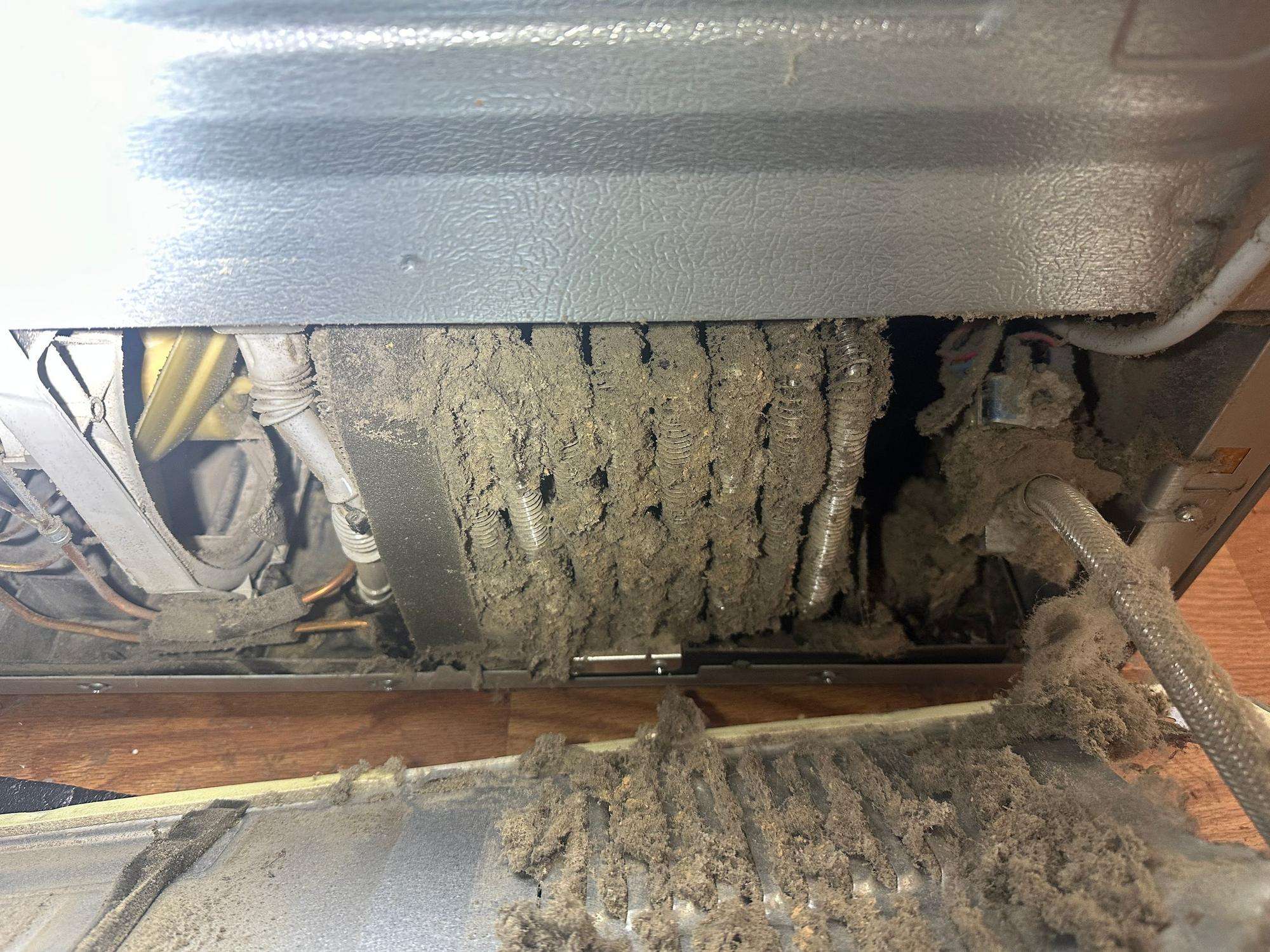 Dirty refrigerator condenser coils packed with dust and pet hair. Clean these before summer